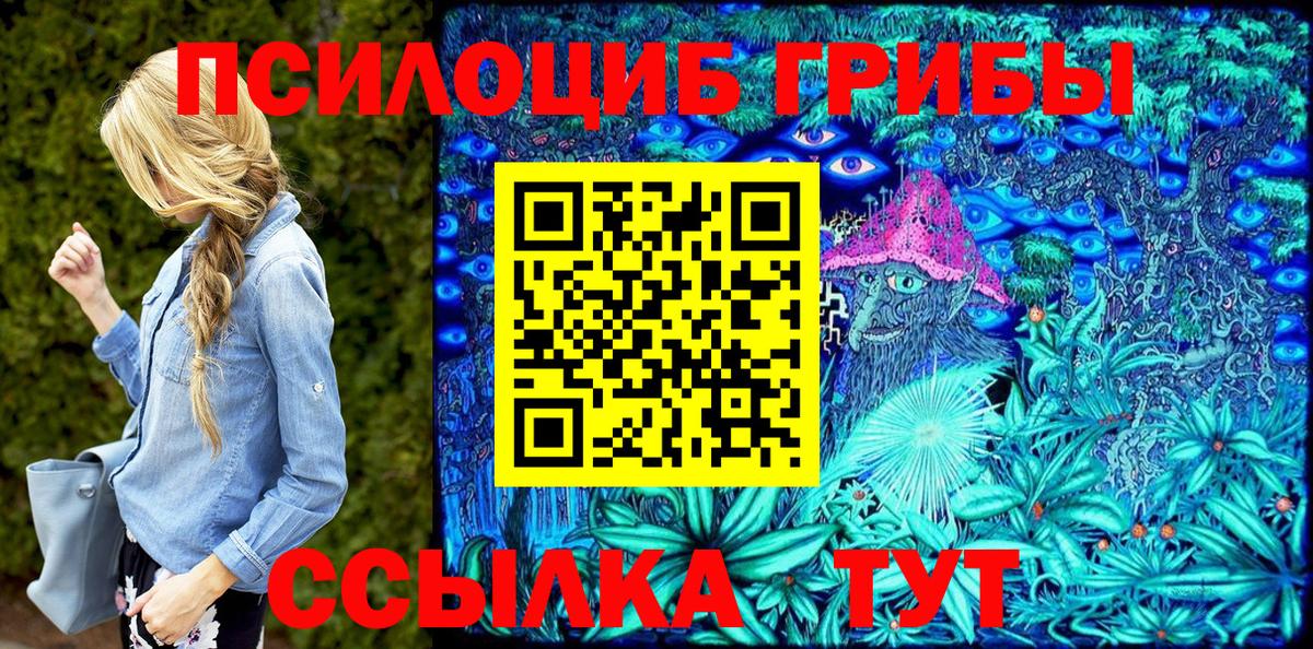 Галлюциногенные грибы ЛСД  Вход с VPN  Новочебоксарск  Галлюциногенные грибы Psilocybine cubensis 