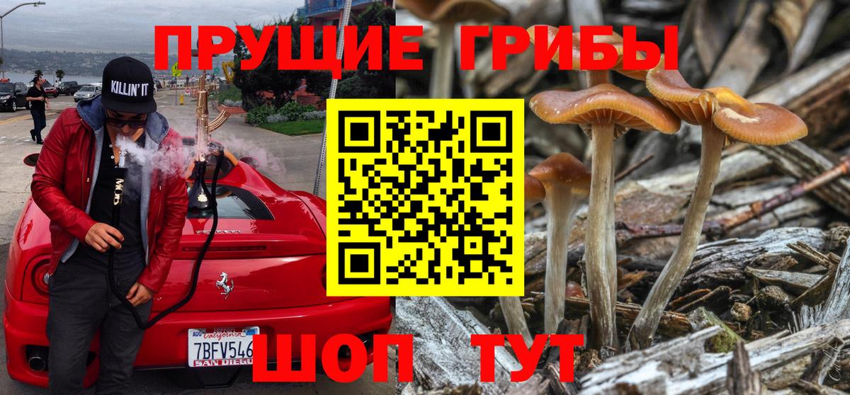 Псилоцибиновые грибы ЛСД Новочебоксарск