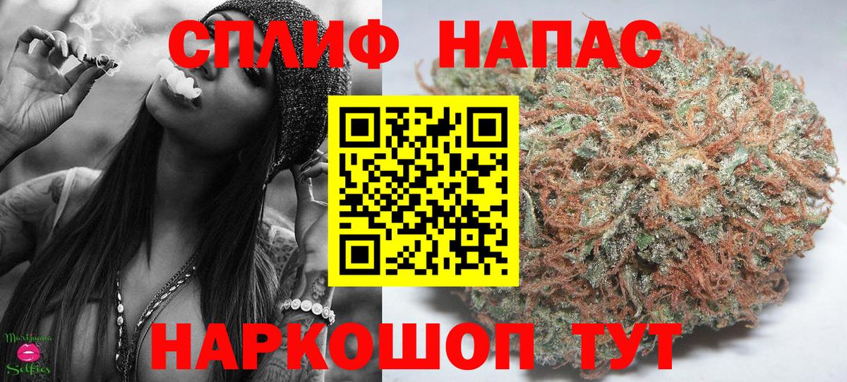 Бошки Шишки марихуана Новочебоксарск